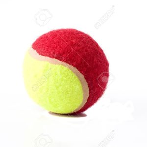 Summer Red Ball Camp July 13-15th 2026 10-11:30am